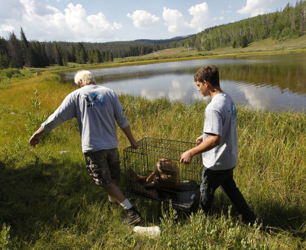 Fuel Leak Beaver Recovery